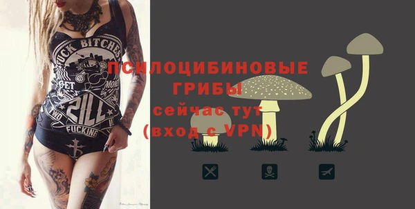 твердый Алексин