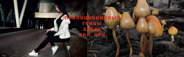 герыч Нефтегорск