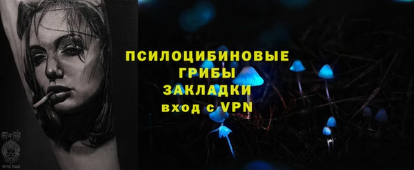 твердый Алексин