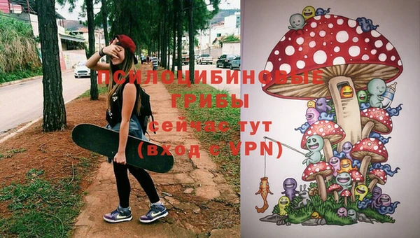 альфа пвп Алексеевка