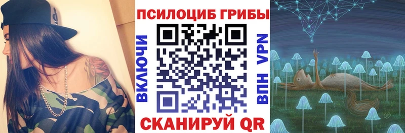 Галлюциногенные грибы Psilocybine cubensis  Усть-Лабинск 