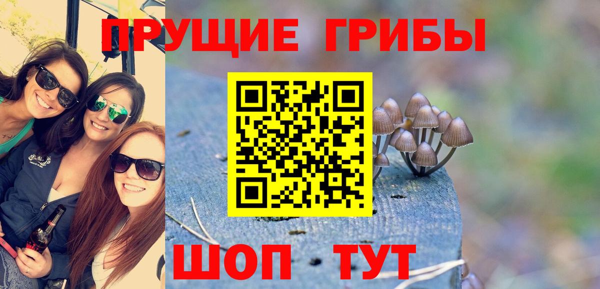 Усть-Лабинск  Псилоцибиновые грибы ЛСД  Вход с VPN 